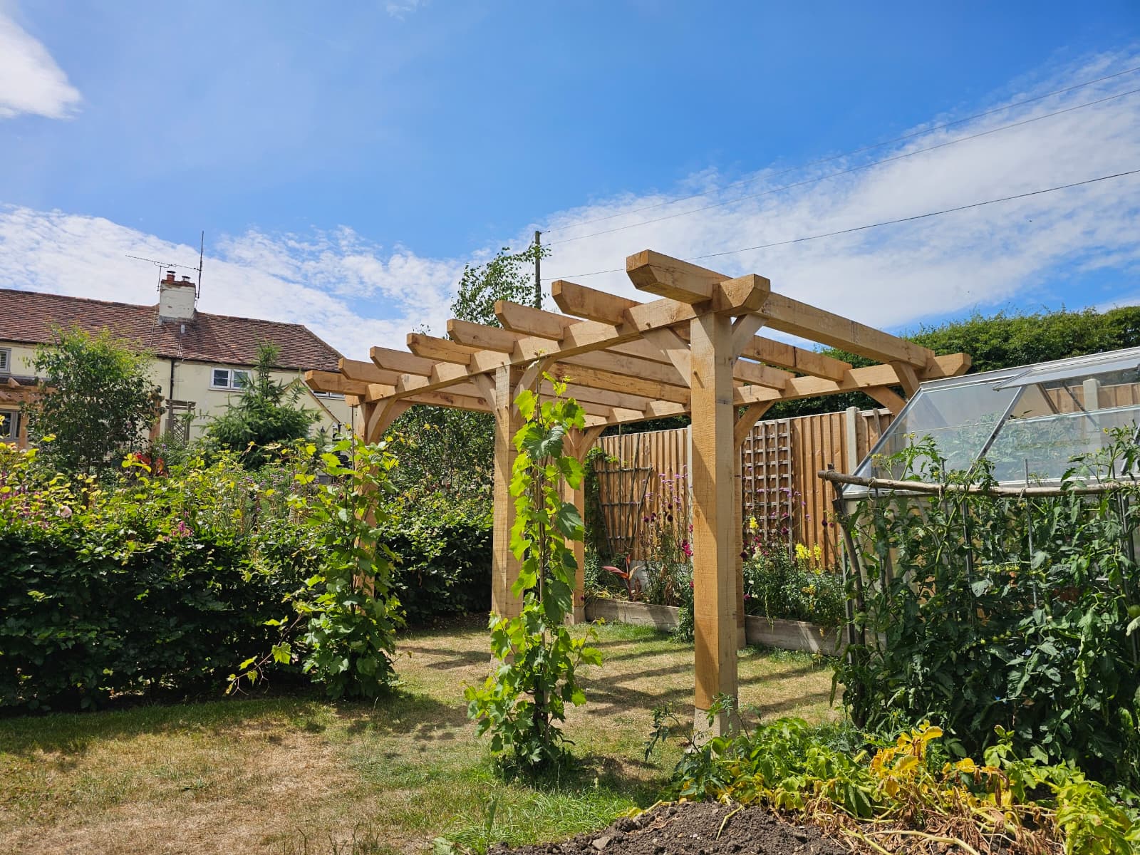 Completed oak frame pergola with climbing vines and integrated landscaping